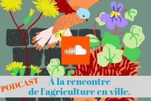 Le podcast de l’agriculture en ville, et du renouveau végétal urbain.