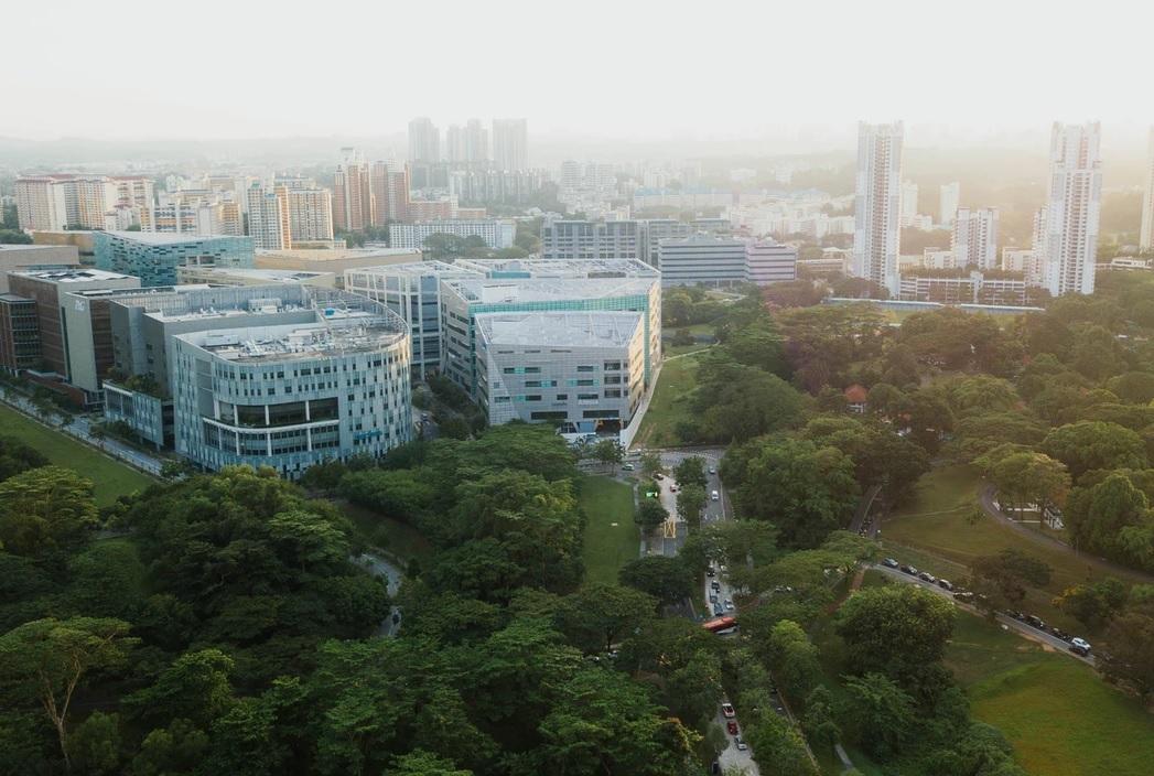 [Ailleurs] Les « forêts urbaines », essentielles aux villes de demain