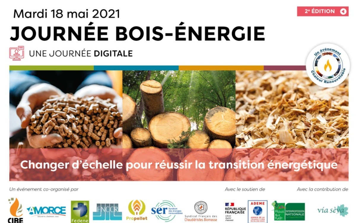 [Ailleurs] Journée digitale Bois-Énergie 2021- Changer d'échelle ...