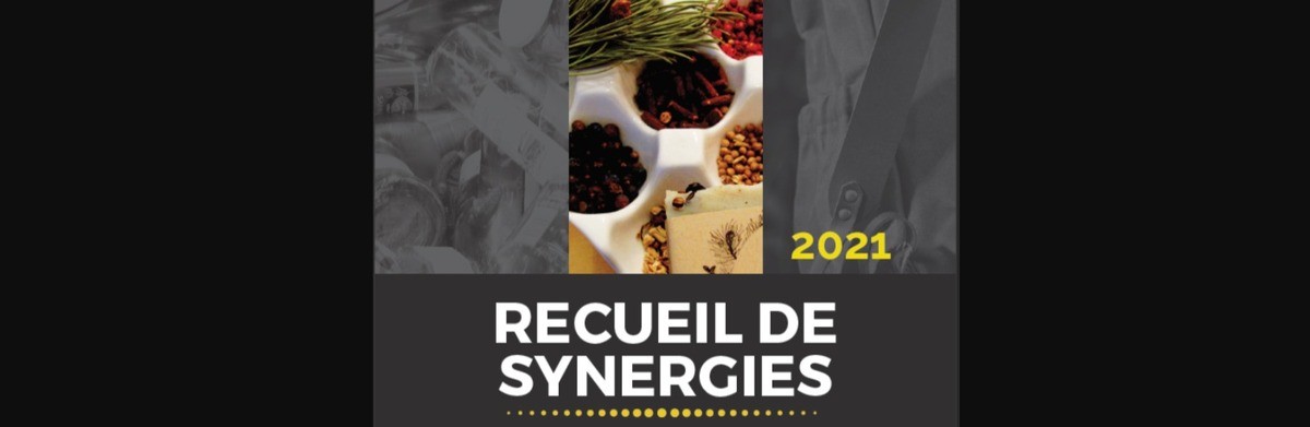 [Vu Ailleurs] Exemples inspirants de synergies en écologie industrielle et territoriale au Québec